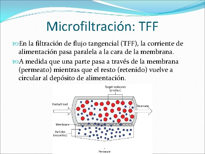 Microfiltración: TFF En la filtración de flujo tangencial (TFF), la corriente de alimentación pasa