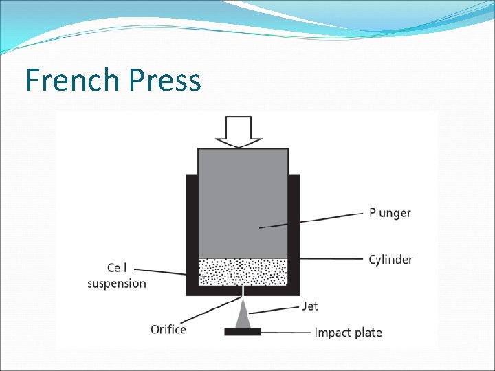 French Press 