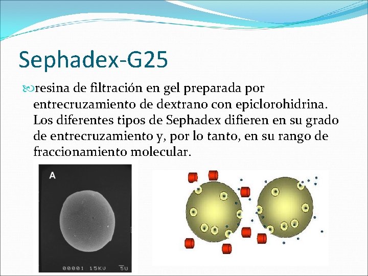 Sephadex-G 25 resina de filtración en gel preparada por entrecruzamiento de dextrano con epiclorohidrina.