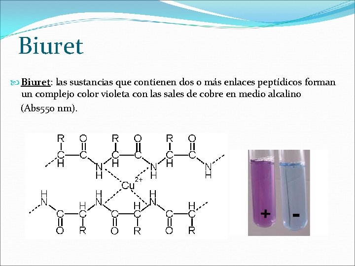Biuret Biuret: las sustancias que contienen dos o más enlaces peptídicos forman un complejo