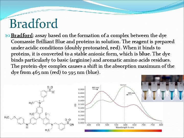 Bradford Bradford: assay based on the formation of a complex between the dye Coomassie