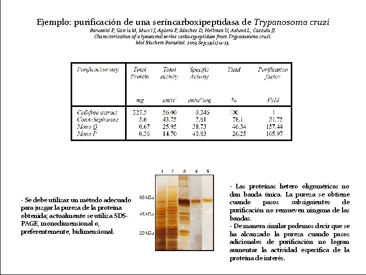 Ejemplo: purificación de una seríncarboxipeptidasa de Trypanosoma cruzi Parussini F, García M, Mucci J,