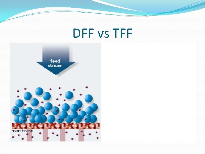 DFF vs TFF 