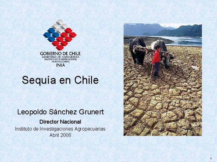 Sequía en Chile Leopoldo Sánchez Grunert Director Nacional Instituto de Investigaciones Agropecuarias Abril 2008