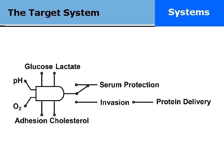 The Target Systemsmart Really drugs. Systems 