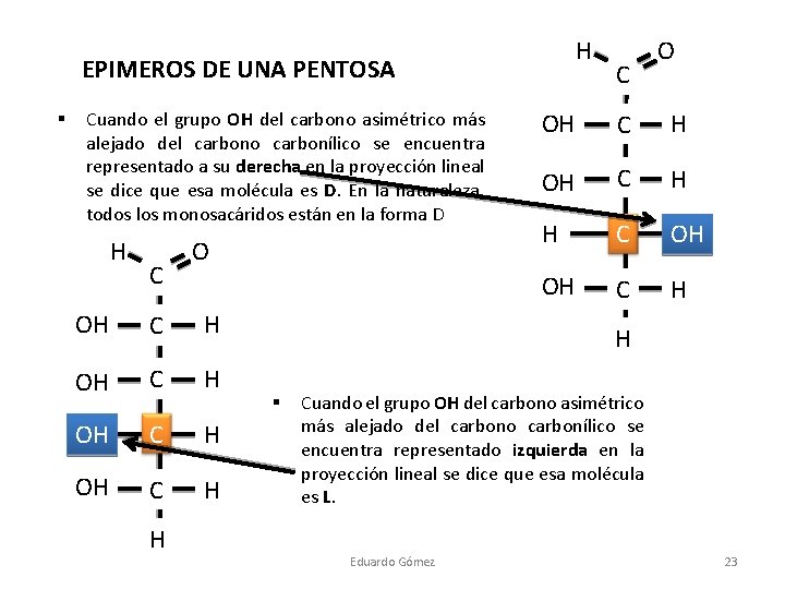 H EPIMEROS DE UNA PENTOSA § Cuando el grupo OH del carbono asimétrico más