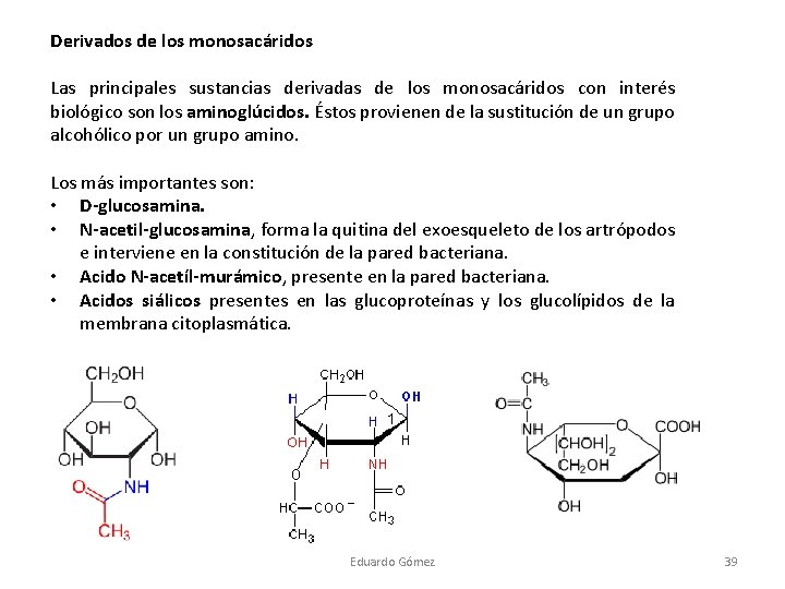 Derivados de los monosacáridos Las principales sustancias derivadas de los monosacáridos con interés biológico