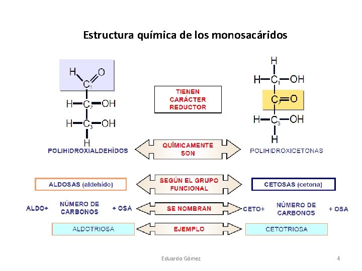 Estructura química de los monosacáridos Eduardo Gómez 4 