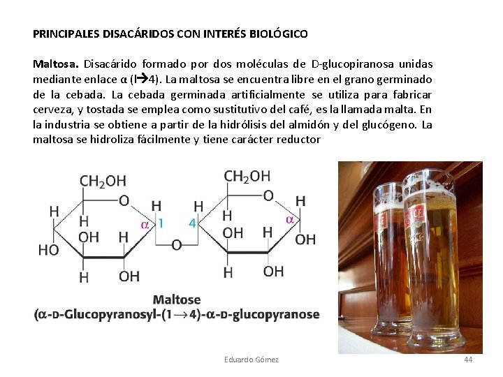 PRINCIPALES DISACÁRIDOS CON INTERÉS BIOLÓGICO Maltosa. Disacárido formado por dos moléculas de D-glucopiranosa unidas