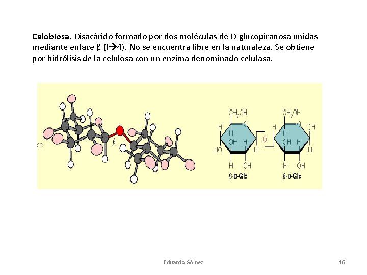 Celobiosa. Disacárido formado por dos moléculas de D-glucopiranosa unidas mediante enlace β (l 4).