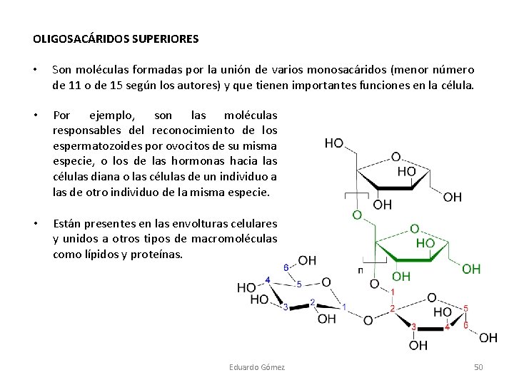 OLIGOSACÁRIDOS SUPERIORES • Son moléculas formadas por la unión de varios monosacáridos (menor número