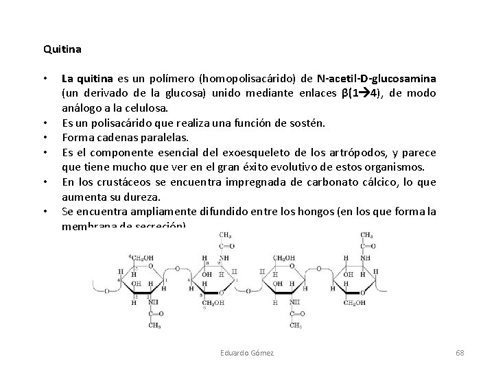 Quitina • • • La quitina es un polímero (homopolisacárido) de N-acetil-D-glucosamina (un derivado