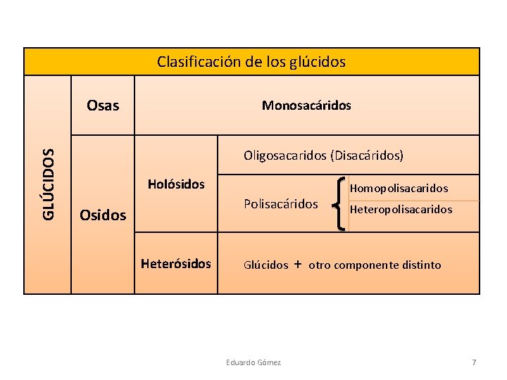 Clasificación de los glúcidos GLÚCIDOS Osas Monosacáridos Oligosacaridos (Disacáridos) Holósidos Polisacáridos Osidos Heterósidos Homopolisacaridos