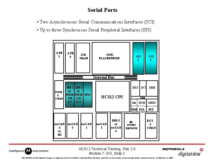 Serial Ports • Two Asynchronous Serial Communications Interfaces (SCI) • Up to three Synchronous