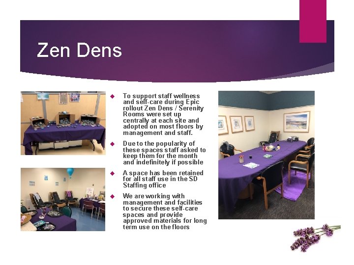 Zen Dens To support staff wellness and self-care during Epic rollout Zen Dens /