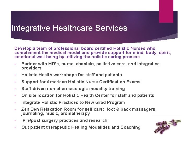 Integrative Healthcare Services Develop a team of professional board certified Holistic Nurses who complement