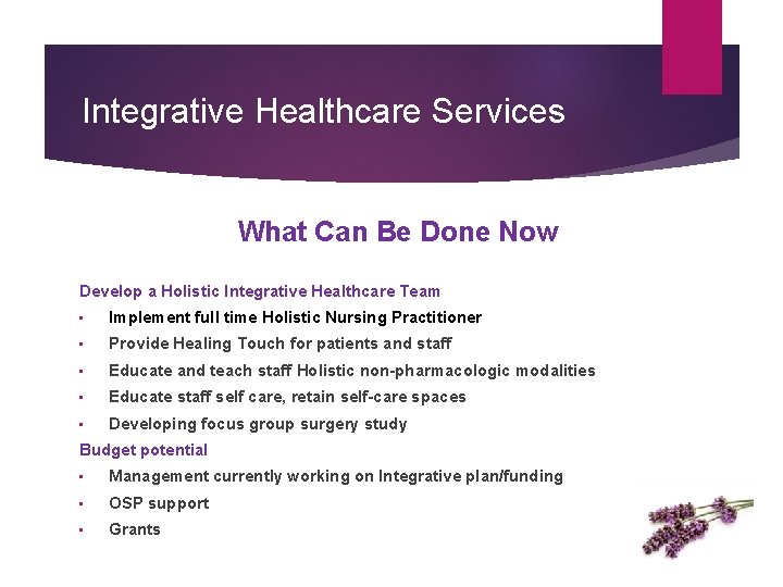 Integrative Healthcare Services What Can Be Done Now Develop a Holistic Integrative Healthcare Team