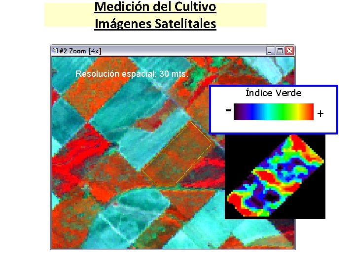 Medición del Cultivo Imágenes Satelitales Resolución espacial: 30 mts. - Índice Verde + 