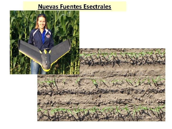 Nuevas Fuentes Esectrales 