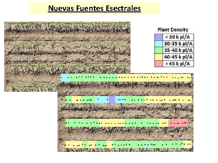 Nuevas Fuentes Esectrales 