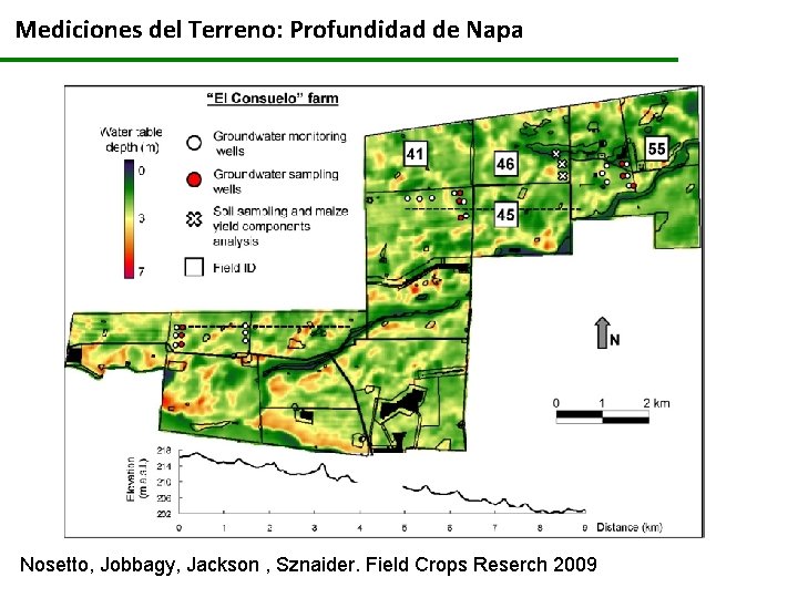 Mediciones del Terreno: Profundidad de Napa Nosetto, Jobbagy, Jackson , Sznaider. Field Crops Reserch