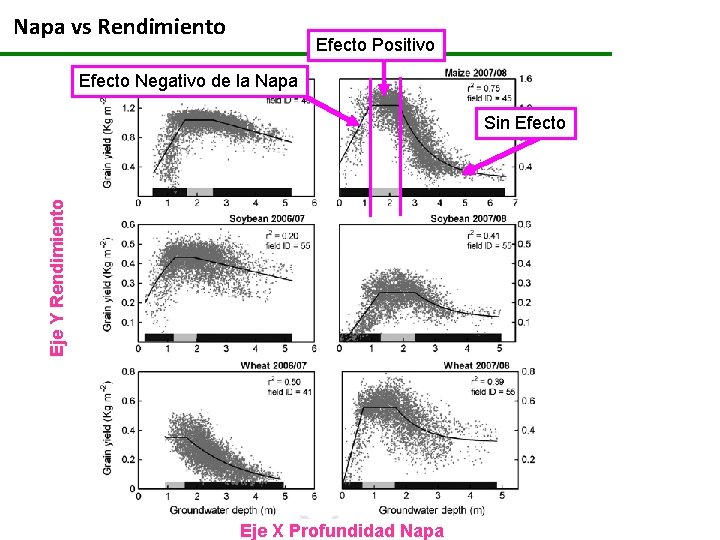 Napa vs Rendimiento Efecto Positivo Efecto Negativo de la Napa Eje Y Rendimiento Sin