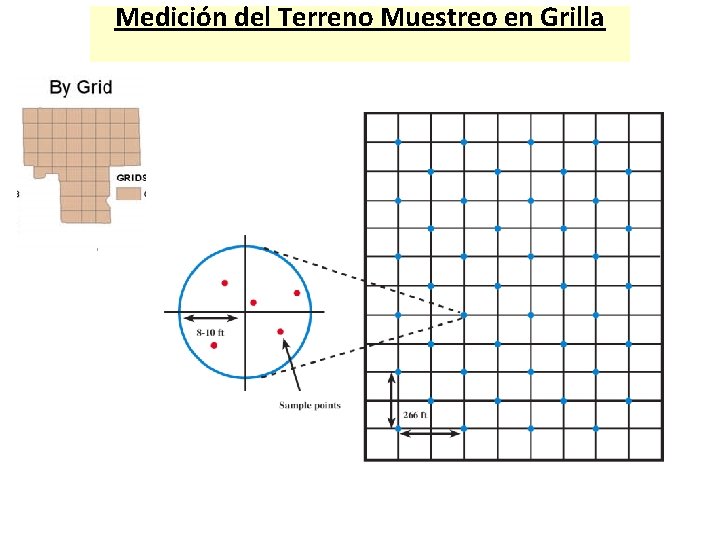 Medición del Terreno Muestreo en Grilla 