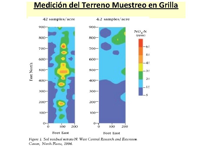 Medición del Terreno Muestreo en Grilla 