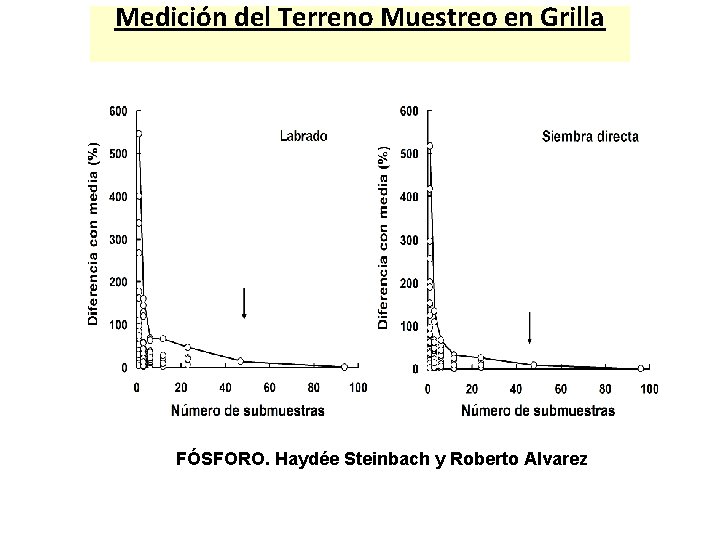 Medición del Terreno Muestreo en Grilla FÓSFORO. Haydée Steinbach y Roberto Alvarez 