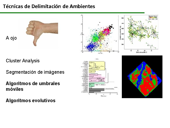 Técnicas de Delimitación de Ambientes A ojo Cluster Analysis Segmentación de imágenes Algoritmos de