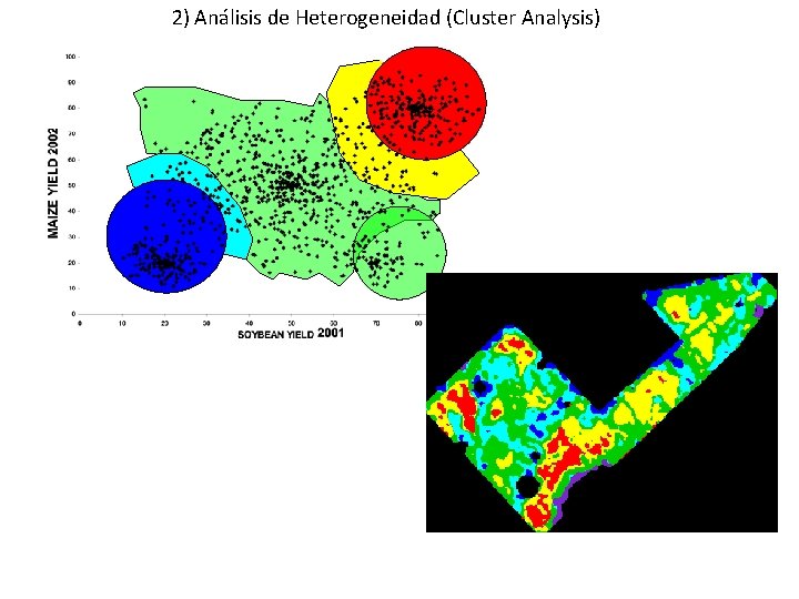 2) Análisis de Heterogeneidad (Cluster Analysis) 