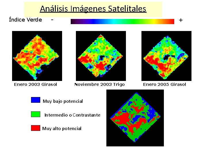 Análisis Imágenes Satelitales Índice Verde - Enero 2003 Girasol + Noviembre 2003 Trigo Muy