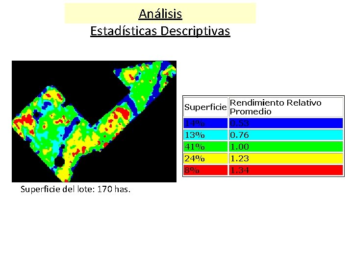 Análisis Estadísticas Descriptivas Superficie del lote: 170 has. 
