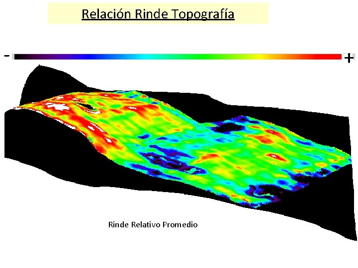 Relación Rinde Topografía - + Rinde Relativo Promedio 