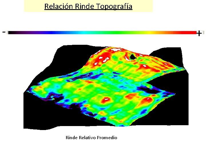Relación Rinde Topografía - + Rinde Relativo Promedio 