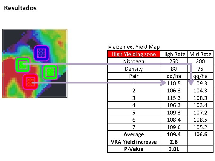 Resultados Maize next Yield Map High Yielding zone High Rate Mid Rate Nitrogen 250