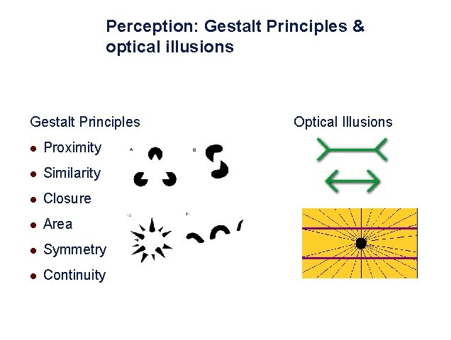 Perception: Gestalt Principles & optical illusions Gestalt Principles l Proximity l Similarity l Closure