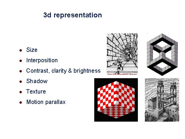 3 d representation l Size l Interposition l Contrast, clarity & brightness l Shadow