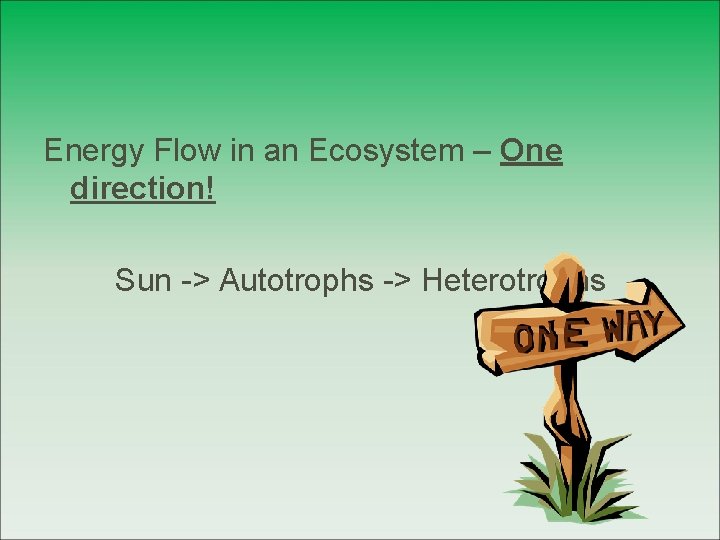 Energy Flow in an Ecosystem – One direction! Sun -> Autotrophs -> Heterotrophs 