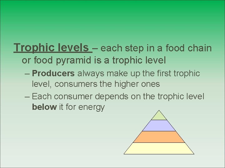 Trophic levels – each step in a food chain or food pyramid is a