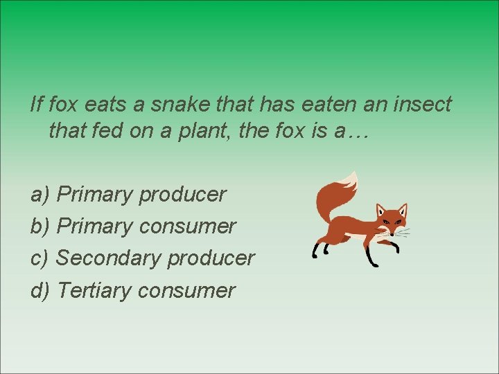 If fox eats a snake that has eaten an insect that fed on a