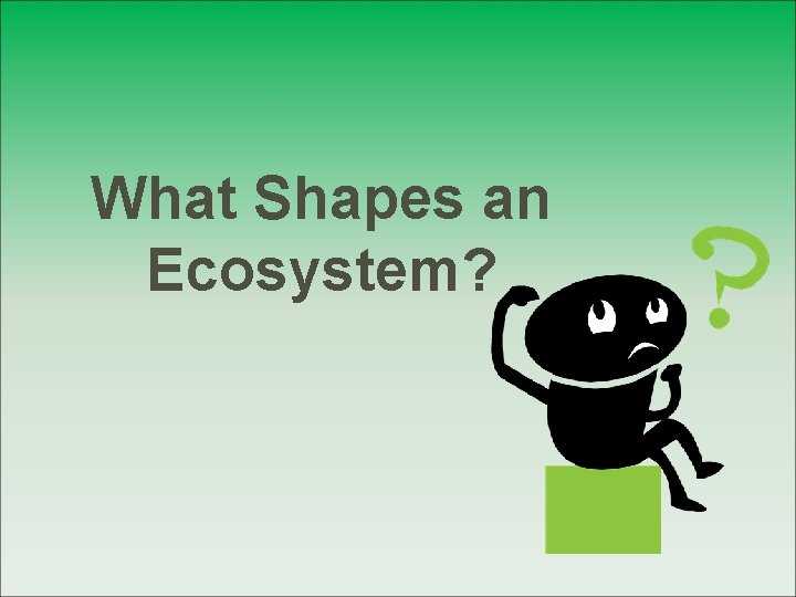 What Shapes an Ecosystem? 