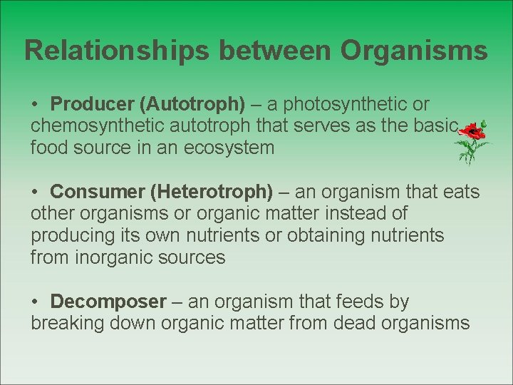 Relationships between Organisms • Producer (Autotroph) – a photosynthetic or chemosynthetic autotroph that serves