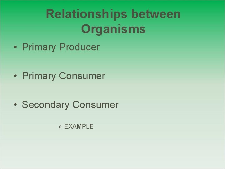 Relationships between Organisms • Primary Producer • Primary Consumer • Secondary Consumer » EXAMPLE