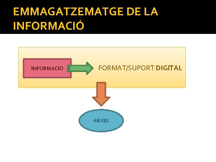 EMMAGATZEMATGE DE LA INFORMACIÓ FORMAT/SUPORT DIGITAL ARXIU EMMAGATZEMATGE DE LA INFORMACIÓ FORMAT/SUPORT DIGITAL ARXIU
