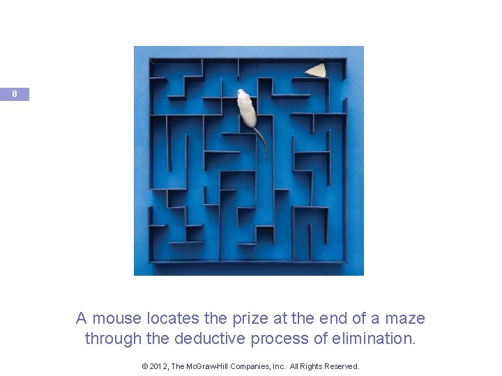8 A mouse locates the prize at the end of a maze through the