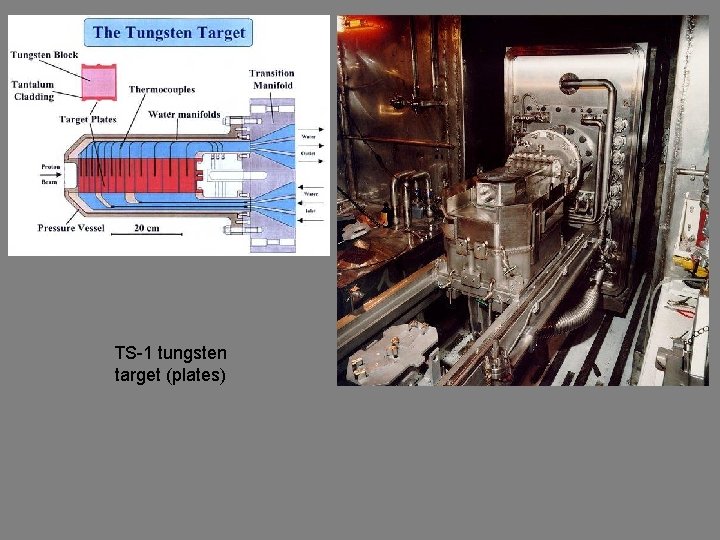 TS-1 tungsten target (plates) 