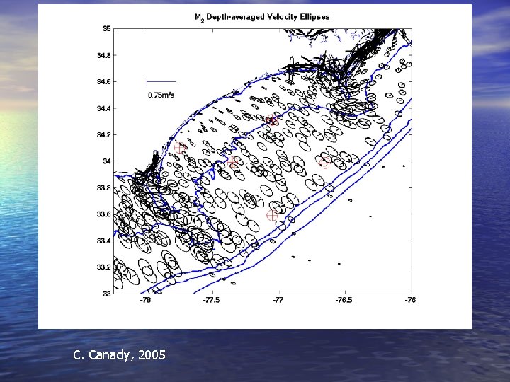 C. Canady, 2005 C. Canady, 2005