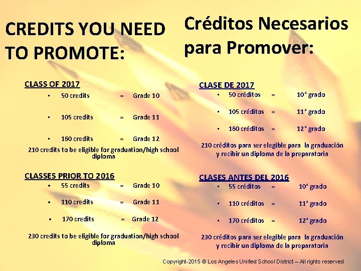 CREDITS YOU NEED TO PROMOTE: CLASS OF 2017 CLASE DE 2017 • 50 credits CREDITS YOU NEED TO PROMOTE: CLASS OF 2017 CLASE DE 2017 • 50 credits