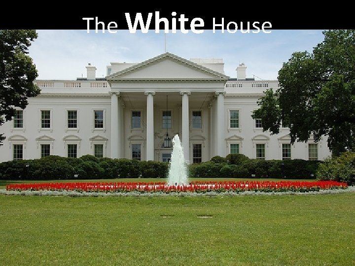 The White House The White House